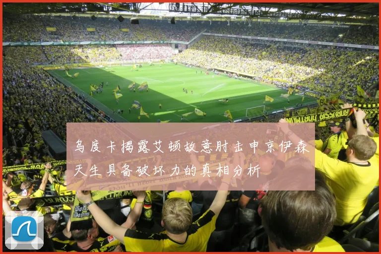 乌度卡揭露艾顿故意肘击申京伊森天生具备破坏力的真相分析