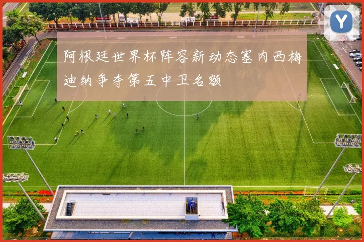 阿根廷世界杯阵容新动态塞内西梅迪纳争夺第五中卫名额